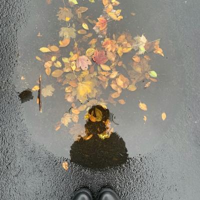 L’art de la gratitude – Redécouvrir et valoriser les petites choses de la vie !